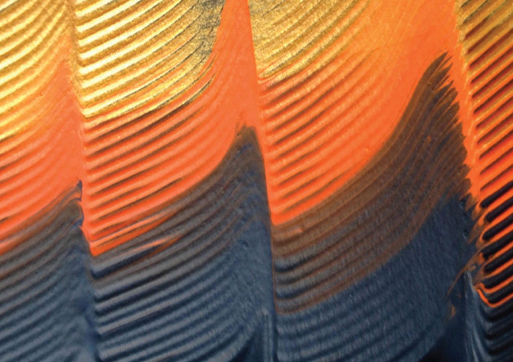 Close up of Khu Khu Kingfisher Premium Tropical Bird Wing Print Hand-Fan in orange and gold tones. Painted and then printed onto high grade cotton with swiss acrylic bespoke shape black sticks. Orange rivet and gold rim. Engraved logo. 
