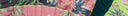 Khu Khu Tropicana Hand-fan Collection - Timeless tropical print hand-fans