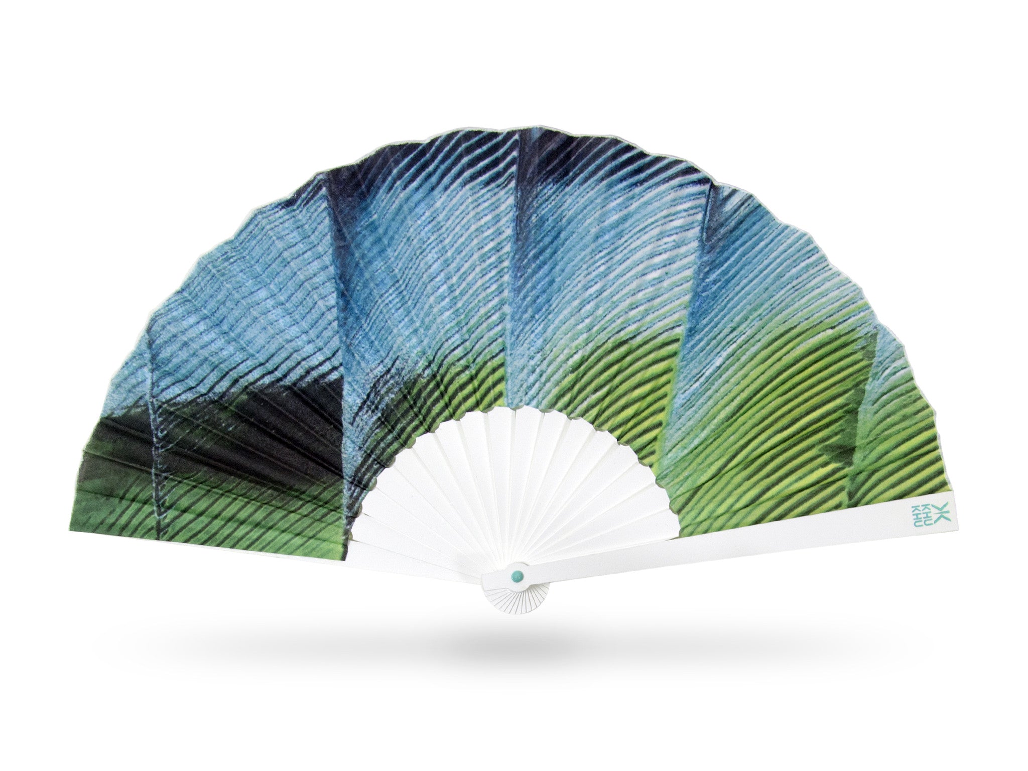 Macaw Hand-fan